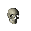 calm skull